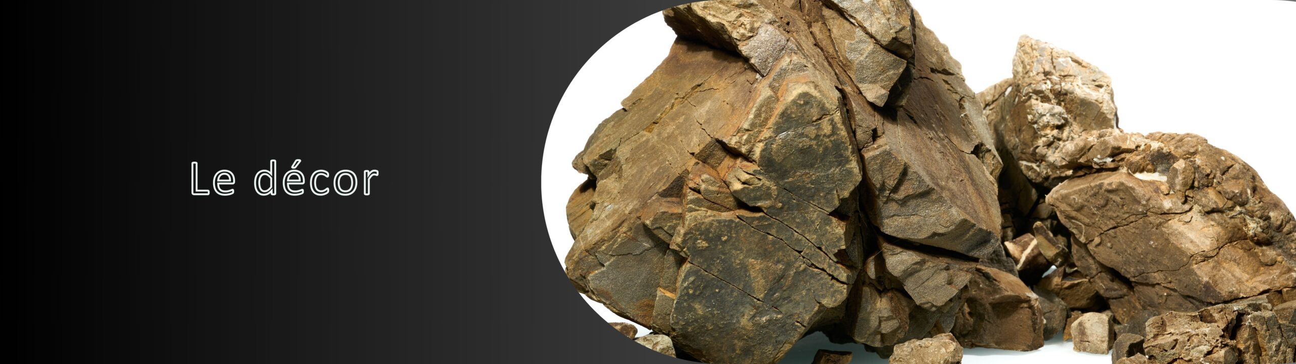 Techniscape - décor